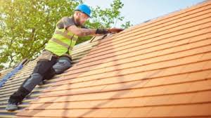 Best Asphalt Shingle Roofing  in Portland, TN