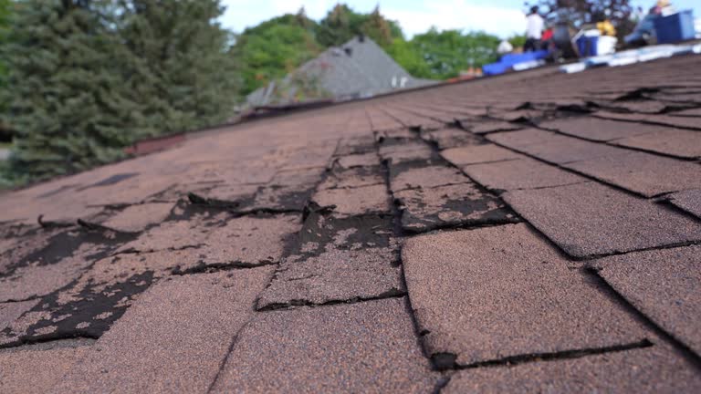 Best 4 Ply Roofing  in Portland, TN