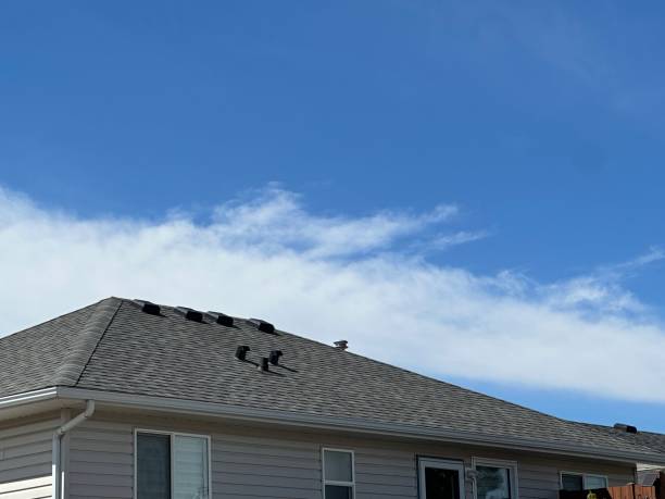 Best Rubber Roofing (EPDM, TPO)  in Portland, TN